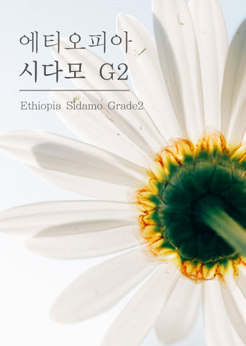 에티오피아 시다모 G2 (235g),미친커피